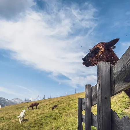 Rinerlodge By Mountain * Давос