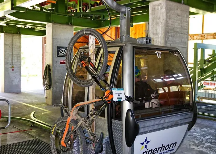 Lodge Rinerlodge By Mountain *